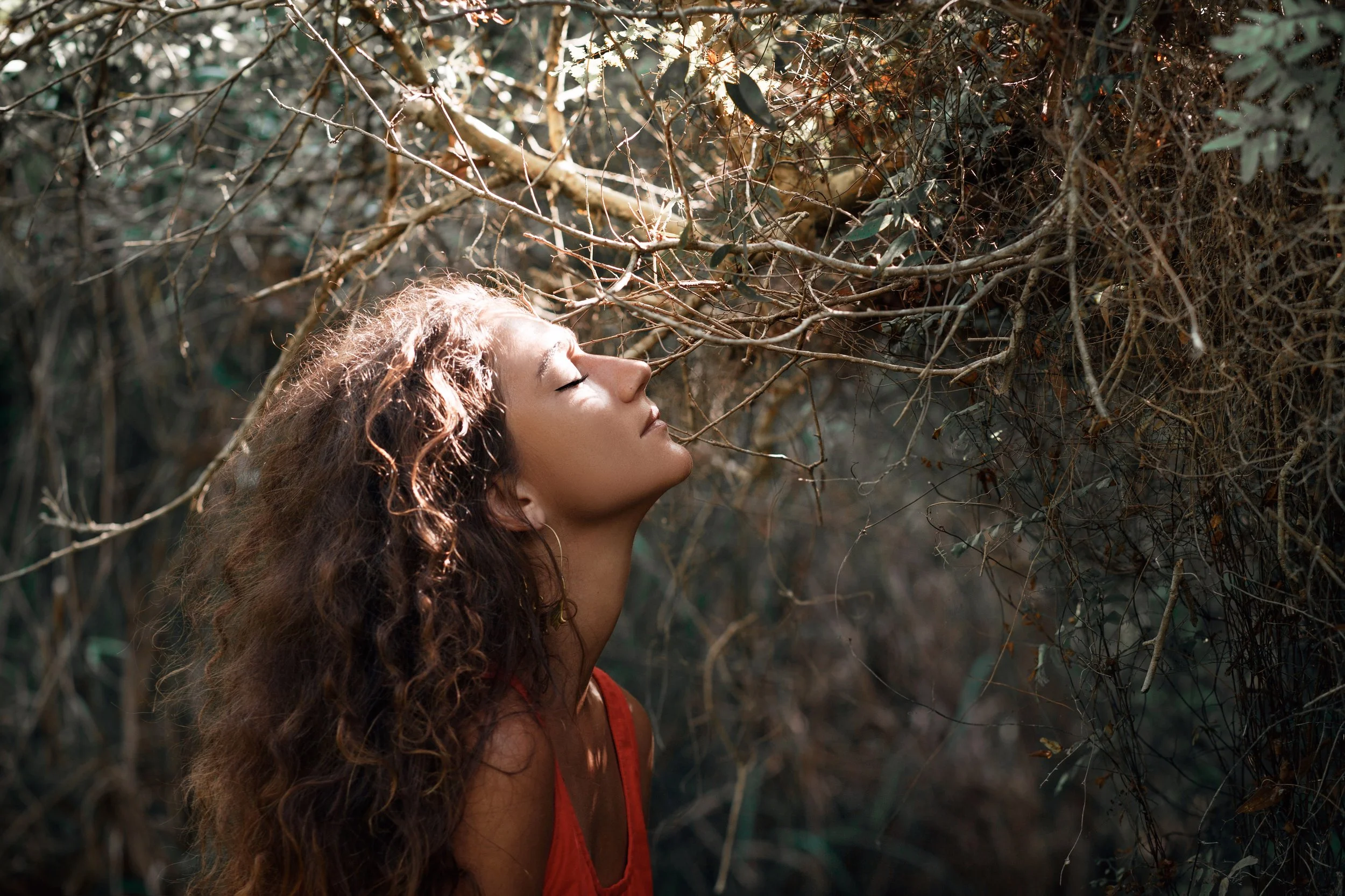 A quiet moment of contemplation in nature